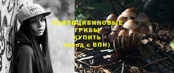 spice Рославль