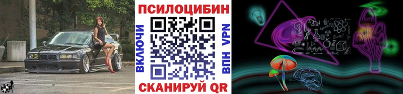 Галлюциногенные грибы Psilocybe  Стародуб 