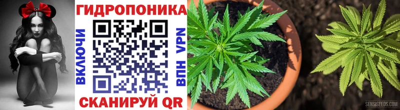 МАРИХУАНА Amnesia  сколько стоит  МЕГА маркетплейс  Стародуб 